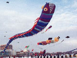 Kites on lce